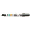 MARKER PERM. PILOT SCA- F...